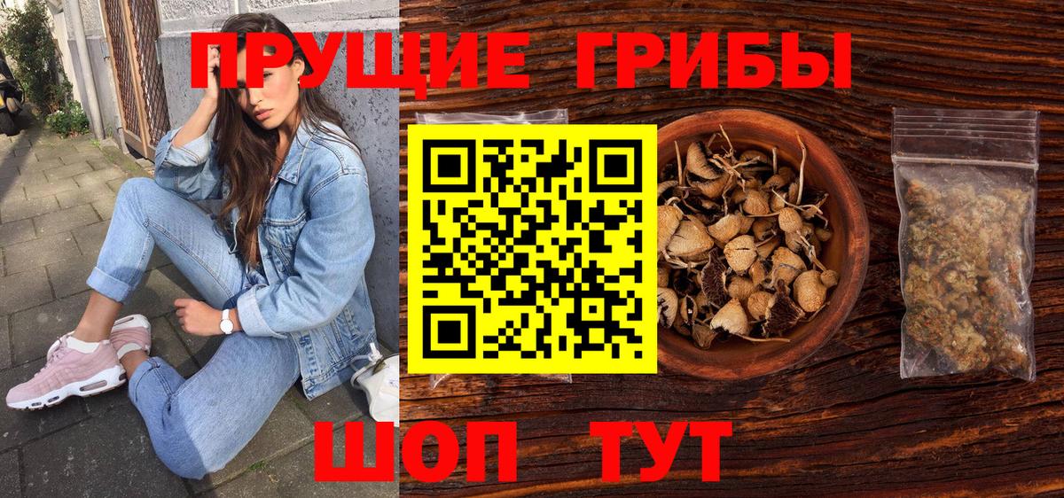 Галлюциногенные грибы Psilocybe Осинники